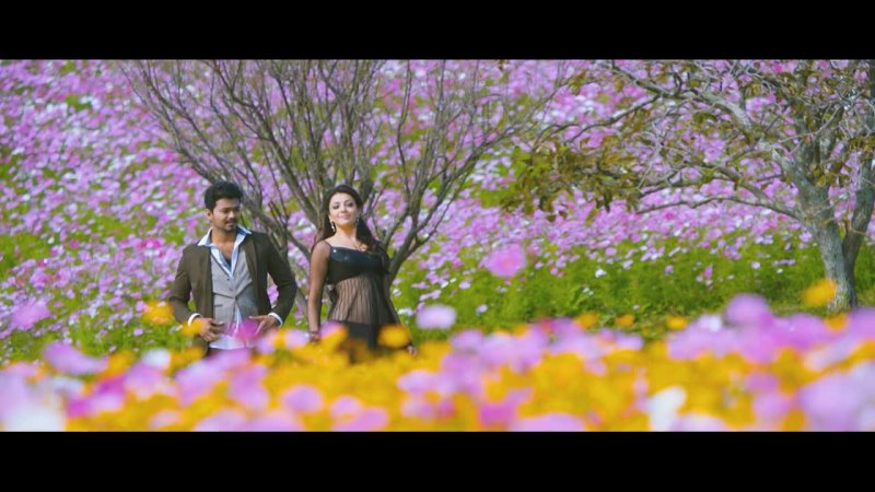 Jilla 2014 non coupé 1080p Bluray South Movie org hindi ou tamil x264